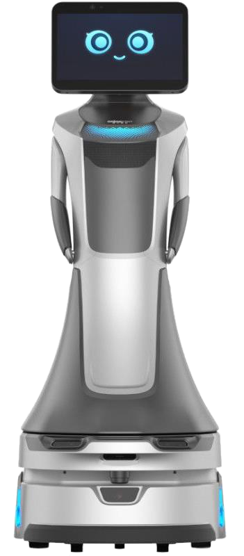 Bot Nova
